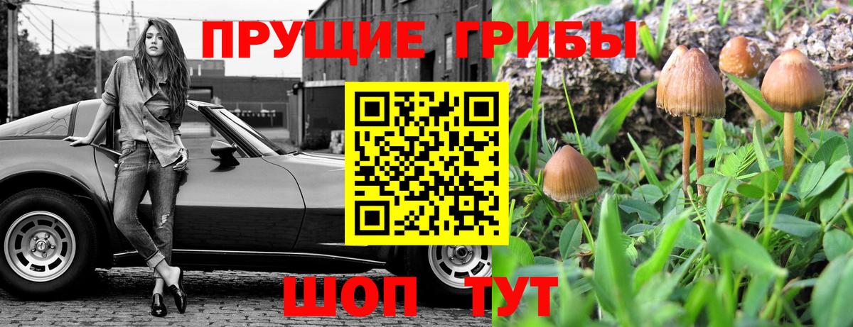 Сатка  Псилоцибиновые грибы мицелий  Псилоцибиновые грибы мухоморы  Вход с VPN 